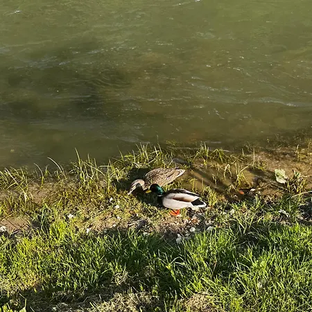 River Vinac 公寓 *